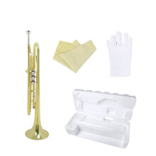 Bb Brass Trumpet for Beginners, Golden Lacquer Finish, Durable Construction, Mouthpiece and Case