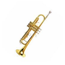 Beginner Bb Trumpet with Durable Brass Build, Reliable ThreeValve System and Standard B Flat Key