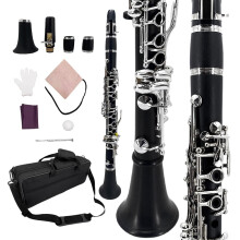 E Flat Ebonite Clarinet for Beginner Students with Case 2 Barrels Warm Tone and Accurate Pitch