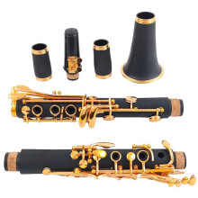 Bb Clarinet with 17 Gold Keys Durable Resin Body Smooth Key Action Student B Flat Clarinet