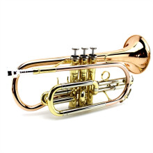 Professional B Flat Cornet Phosphor Bronze Trumpet with Warm Focused Sound and Smooth Valve Response