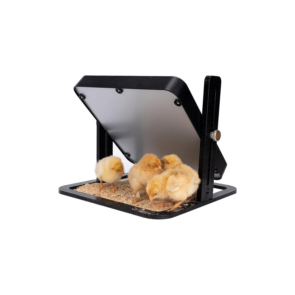 Brooder Heater Plate 12x12 Inch with Constant 25 Heat, Energy Saving 145W, Adjustable for Chick Brooding and Pet Warmth