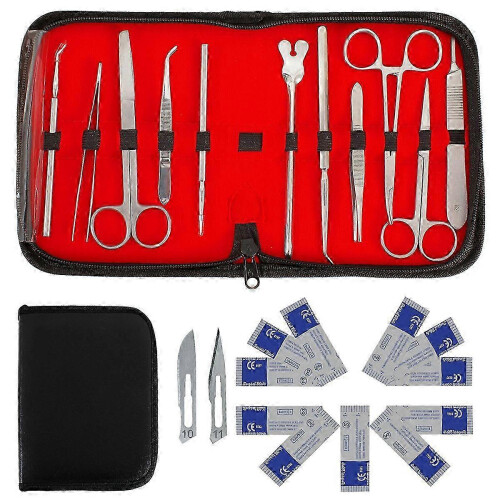 22-Piece Dissection Kit Stainless Steel Complete Set with Practical Case for Students Teachers