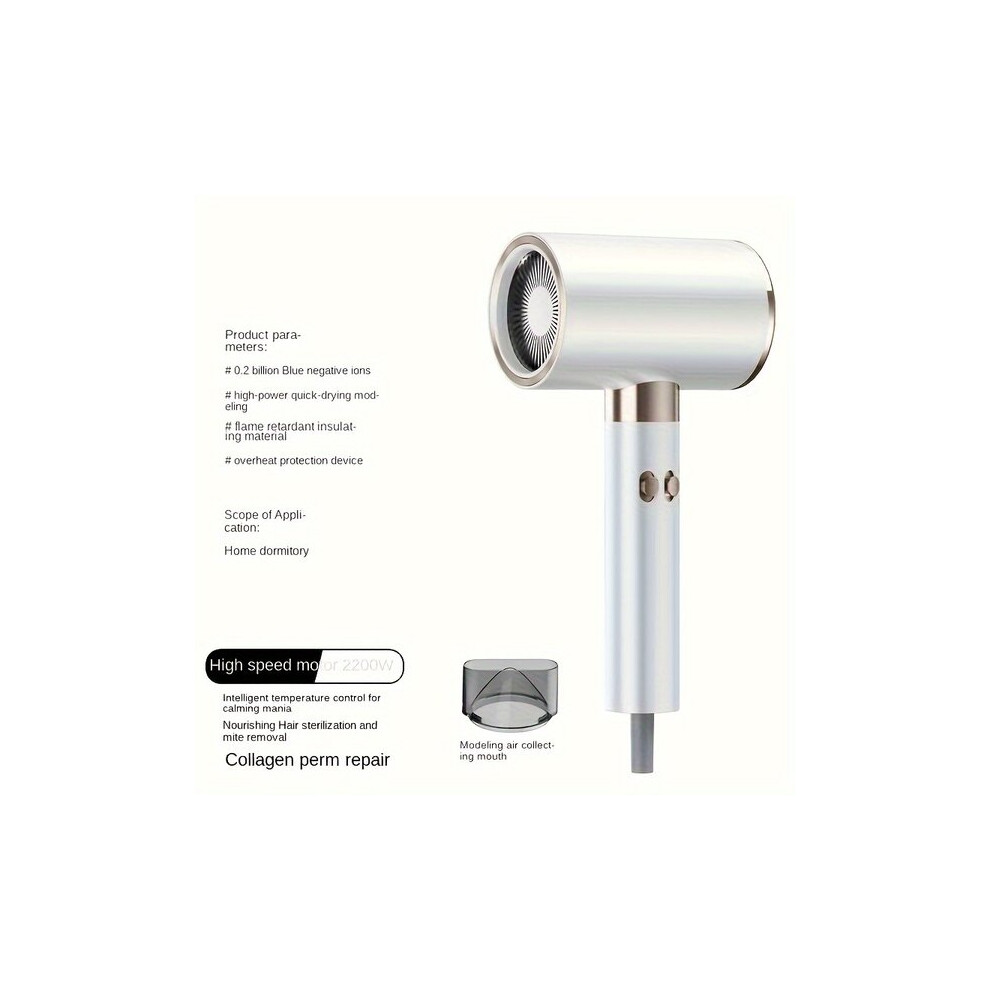 Hair Dryer with Ionic Technology for Fast Drying and Frizz Reduction, 6 Heat Speed Settings, Dual Voltage