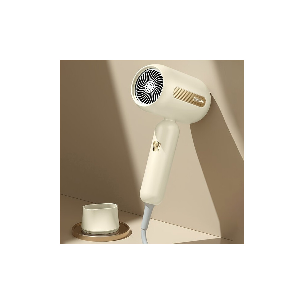 Professional 1900W Hair Dryer with Negative Ion Technology for Quick Drying and Frizz Control