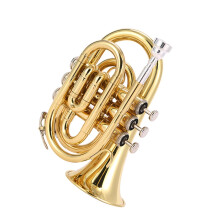 Bflat Trumpet with Clear Tuning and Palm Number Fingering Aid for Beginners and Travel Use
