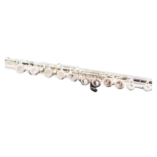 Silver Plated Beginner C Flute 16 Hole Closed Design with Case and Strap for Easy Playability 1