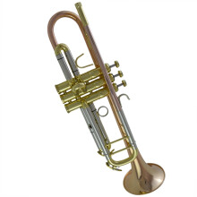 B Flat Beginner Trumpet with Tricolor Finish, Durable Brass, Full Tone Projection for Students