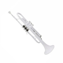 Bflat Trumpet with Stainless Steel Valves, Durable Brass Body, Clear Tone Projection