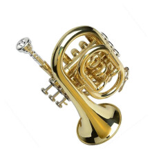 Gold Plated Bb Pocket Trumpet, Compact Brass Design for Beginners and Travel with Protective Case