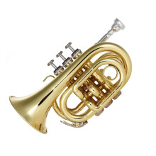 Bb Pocket Trumpet Compact Brass Mini Instrument with Mouthpiece Gloves and Carrying Case