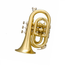 Pocket Trumpet B Flat Gold Brass Compact Design Beginner Friendly for Student Band Practice