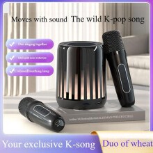 Karaoke Bluetooth Speaker with Intelligent Noise Reduction 12-Hour Battery for Duet Singing at Home, Bluetooth 5.3, Portable Party Speaker