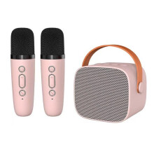 Tragbare Karaoke-Maschine mit HiFi-Sound, 2 drahtlosen Mikrofonen, Bluetooth-Lautsprecher mit Stimmverzerrungseffekten