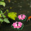 4Sets Floating Pool Fountain USB Rechargeable Outdoor Decor 11