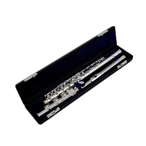 Professional Silver Flute C 17 Hole E Key with Case, Warm Tone for Beginner and Student Practice 1