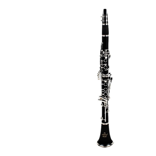 B Flat Clarinet for Beginners with Clear Rich Tone and Stable Resonance, Includes Case 1