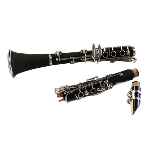B Flat Clarinet for Beginners with Clear Rich Tone and Stable Resonance, Includes Case 2