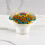 (1) Boho Ceramic Knobs for Cabinets & Drawers 3