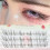 (3 ROWS) Reusable Black Fake Lashes for Daily Use 8