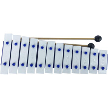 12 Tone Glockenspiel Xylophone for Beginners with Mallets and Clear Note Markings