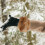 2St Fluffy Polsbanden Warm Lichtbruin Winteraccessoire 4
