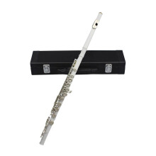 Student Closed Hole C Key Flute for Beginners with Case, Clear Tone and Pitch Control