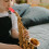 Bec Saxophone En ABS Polyvalent Pour Instrument 5