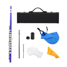 Concert Flute 16 Hole Closed C Key with Bright Clear Sound for Beginners and Professionals