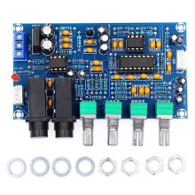 PT2399 Dual AC12 Microphone Amplifier Board V Digital Karaoke Reverberation Board Karaoke Amplifier Board