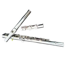 Silver Plated Beginner C Flute 16 Hole Closed Design with Case and Strap for Easy Playability