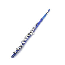 Blue Closed Hole Flute for Beginners 16 Keys C Tone with Case Durable Cupronickel