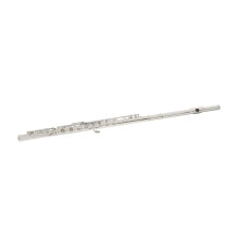 Silver Plated C Key Flute Set 16 Closed Hole for Adult Beginners with Clear Tone and Durable Finish