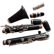 Professional Bb Clarinet with Ebony Body Silver Keys Case Mouthpiece and Reeds
