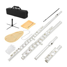 Beginner Silver Flute Set C Key Closed Hole with Case Clear Warm Tone for Students (Silver)