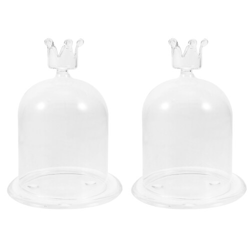 2Ensembles Verre Base Pour Fleurs Mini Paysages