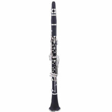 Professional Bb Woodwind Clarinet with Rich Clear Tone and Smooth Responsive Keys for Practice