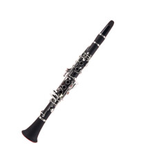 Beginner Clarinet for School Band with Case, Clear Rich Tone, Easy Play for Students