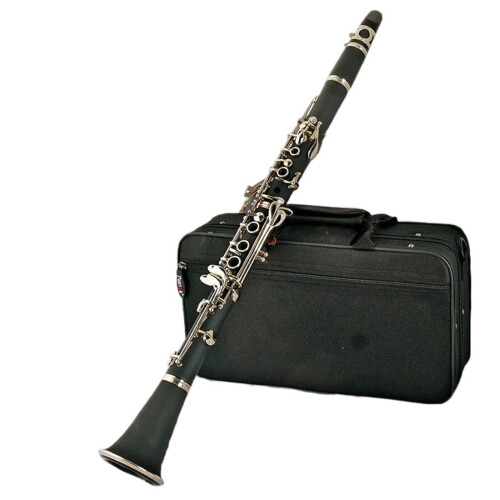 Professional Bb Clarinet 17 Keys ABS B Flat Instrument for Beginner and Student Performance