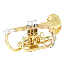 Professional Brass Euphonium B Flat Clear Balanced Sound Ergonomic Design for All Skill Levels