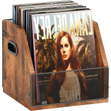 Organizador de Discos de Vinil com Painel de Rede Transparente, 60 Unidades, Madeira e Metal, 36.9x28.9x28.9 cm, Marrom Escuro