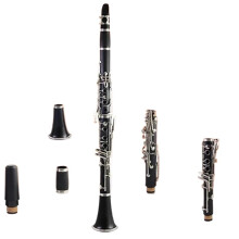 Professional B Flat Ebony Clarinet with Silver Keys, Clear Tone, Case and Mouthpiece