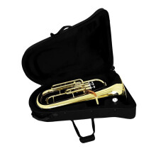 Bb Euphonium Brass Body with Rich Warm Tone, Lightweight Design, Case and Accessories