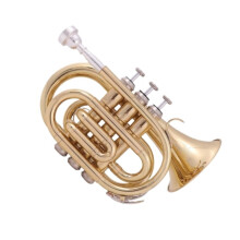 B Flat Pocket Trumpet with 7C Mouthpiece, Clear Sound, Smooth Valves, Brass Bell for Beginners