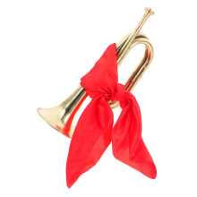 Student Trumpet for Beginners with Clear Projecting Sound and Red Scarf for School Marching Band