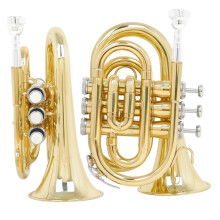 Mini Bb Trumpet Gold Brass for Beginners with Clear Sound and Durable Carrying Case