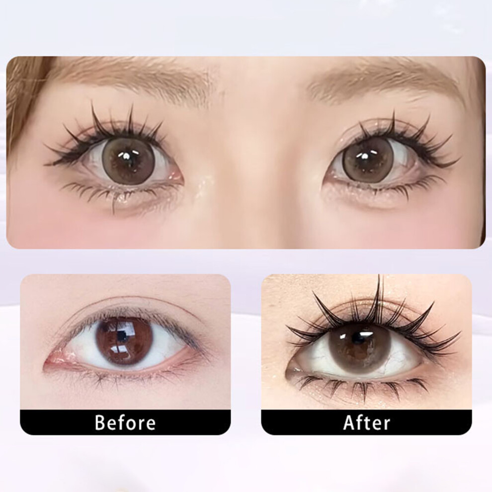 Reach-Tools Reusable False Eyelashes For Women - 50 Char