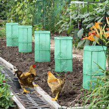 (Φ24-H55cm【4 set】) Plant Seedling Cover - Animal Protection & Growth Aid