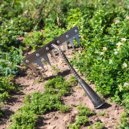 (8 Teeth) Steel Garden Rake with Sharp Tines - 50 Char 2