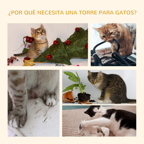 PawHut Árbol para Gato Gris 60 x 45 x 260 cm 1